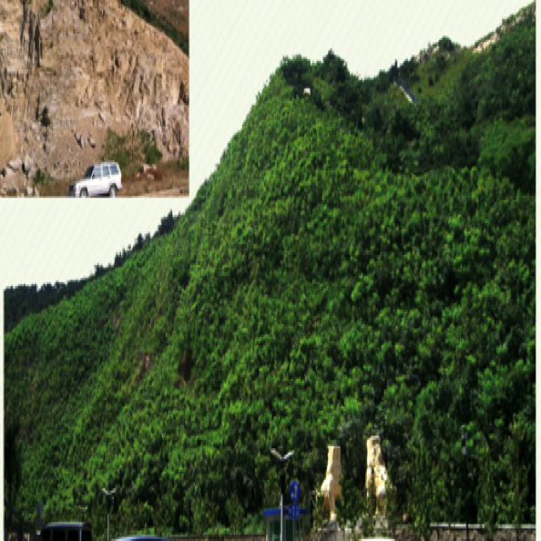 边坡生态修复设计与施工
Design & construction for slope ecological restoration